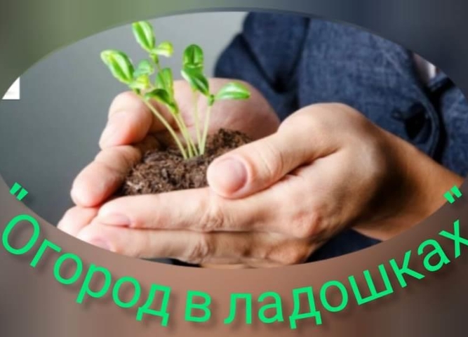 ОГОРОД В ЛАДОШКАХ